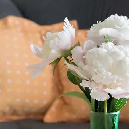 Apartment Haus Schönblick