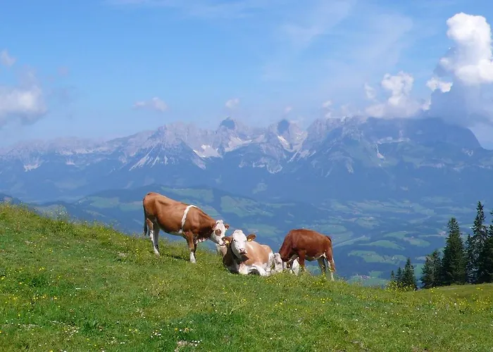 Haus Schoenblick * Kirchberg in Tirol