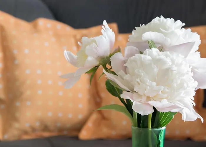 Apartment Haus Schoenblick