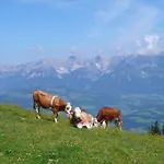 Haus Schoenblick * Kirchberg in Tirol
